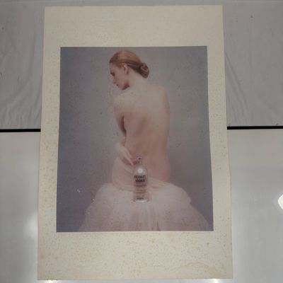 Sale Photo Thumbnail #358: Signed and Numbered Absolut Vodka Joyce Tenneson Print 1 out of 200 Heavy Foxing