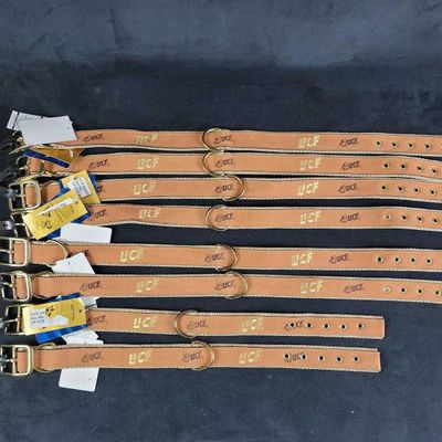 Sale Photo Thumbnail #423: UCF College Football Logo Dog Collars D