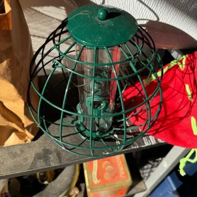 Squirrel-proof cage bird feeder with a green metal wire frame and central clear plastic seed tube.