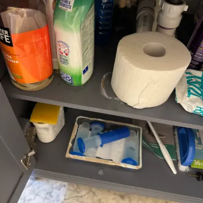 Sale Photo Thumbnail #125: Assorted household cleaning supplies, toilet paper, and a toilet gel stamp kit stored inside a grey under-sink cabinet.