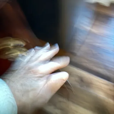 Sale Photo Thumbnail #223: Extremely blurry and out-of-focus photograph showing a hand resting on a wooden surface.