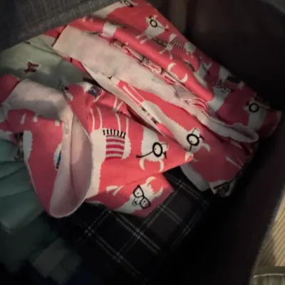 Sale Photo Thumbnail #192: Folded pink fabric featuring a whimsical llama pattern with glasses, stored inside a grey fabric bin.