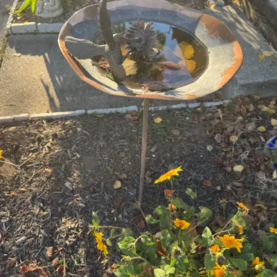 Copper and metal bird bath on a stake, featuring a decorative metal bird and flower in the center.