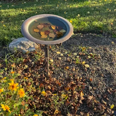 Weathered copper or bronze birdbath on a slender metal pedestal, filled with water and fallen autumn leaves.