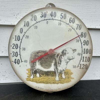 Sale Photo Thumbnail #772: Vintage The Tru Temp Original Jumbo Dial 12 Inch Outdoor Cow Thermometer