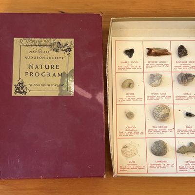 Sale Photo Thumbnail #573: National Audubon Society Nature Program Vintage Fossil Collection