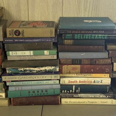 Sale Photo Thumbnail #753: A Collection of Modern and Vintage Books, including Dickey, Wharton, Graves, and Ostenso (DJ)
