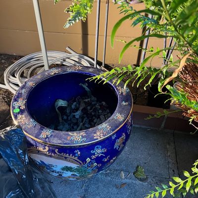Large cobalt blue Asian-style ceramic fishbowl planter featuring detailed hand-painted floral motifs and scenic panels.