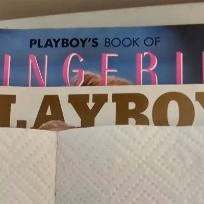 Vintage Playboy magazines, including a copy of "Playboy's Book of Lingerie," partially obscured on a shelf.