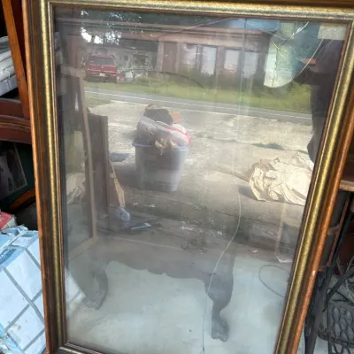 Sale Photo Thumbnail #536