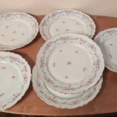 Set of 6 Antique Carl Tielsch Altwasser German Porcelain Plates  Floral Garland Design, c. 1875-1900