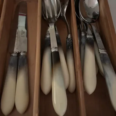 Alain Saint-Joanis French flatware set with faux-horn handles, organized in a wooden drawer insert.