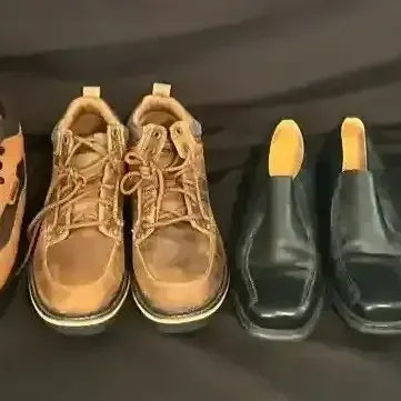 Men Shoes Size 11 To 12 