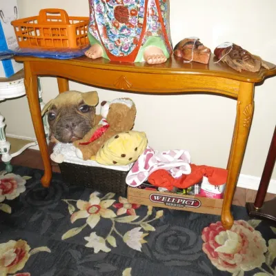 Sale Photo Thumbnail #120