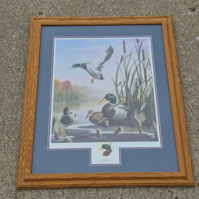 Autumn Air Framed Duck Print By Leo Stans 1993 Hand Signed Remarked Conservation Edition 25" x 33"