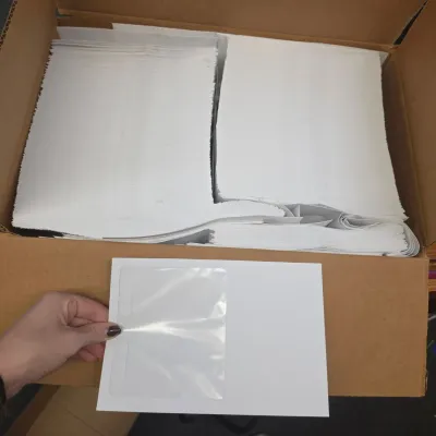 Mailing Envelopes - 6x9 with Windows