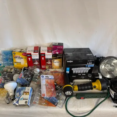 Large Collection of Various Light Bulbs