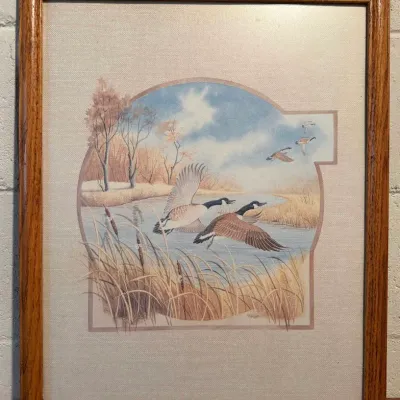 Framed Canada Geese in Flight Wildlife Artwork - Signed Ravasio - Nature & Waterfowl Scene - Lake Odessa Off-Site