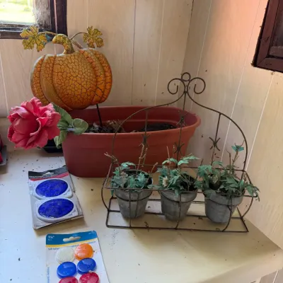 Assorted Seasonal Garden Decor - Pumpkin Stake, Duck Planter, Metal Planters & Reflectors - Lake Odessa Off-Site
