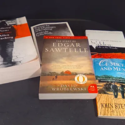 Box of Pristine Poetry & Classic Novels - Potterville