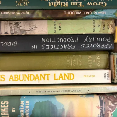 Book Collection - Animals, Hunting