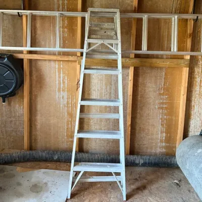 All American Ladder 16 Ft. Aluminum Extension Ladder & 6 Ft. Folding Step Ladder - Lake Odessa Off-Site