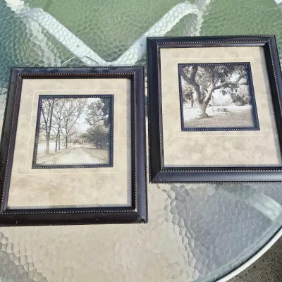 Set Of 2 Framed Sepia Nature Wall Art Prints With Elegant Beaded Wood Frames 12x14