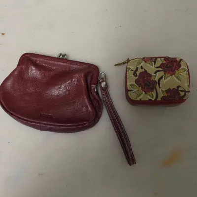 Fossil Coin Pouch and Pill Case