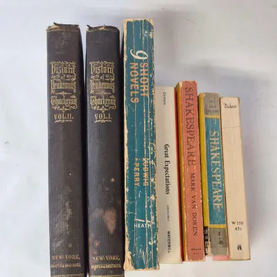 Antique & Vintage Book Lot: History Pendennis 9 Short Novels Shakespeare Great Expectations & More