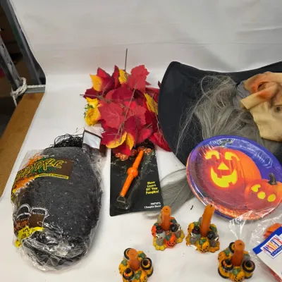 Small Collection of Halloween Decorations