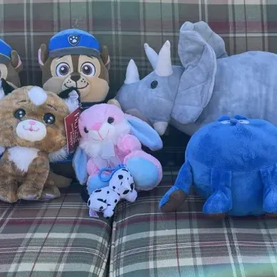 Collection of Kids Stuffed Animals