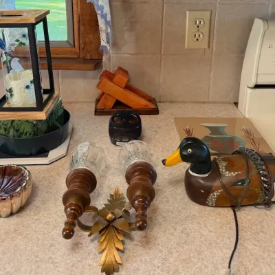Assorted Home Decor Lot - Mallard Duck, Wall Sconce, Lantern, Owl & Decorative Accents - Lake Odessa Off-Site