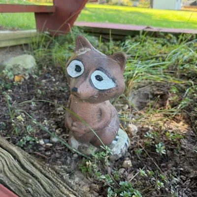 Decorative Raccoon Garden Statue - Woodland Animal Outdoor Yard Figurine - Lake Odessa Off-Site