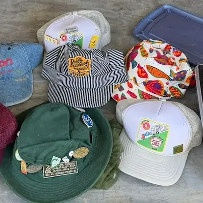 Assorted Advertising & Travel Hats -Onan, Durango Railroad, Michigan Camping & Rally Pins - Howard City Off-Site