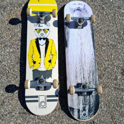 Pair of Size 7.75 Skateboards