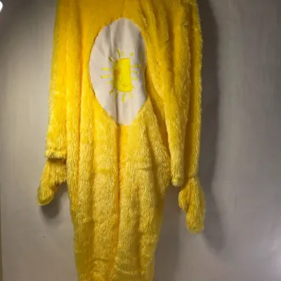 Adult Large Retro Funshine Bear Costume