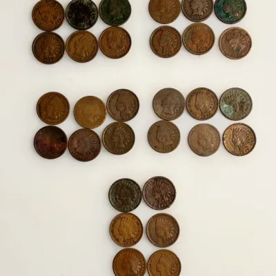 Lot of 30 Assorted Indian Head Cents - Date Range 1864 - 1909