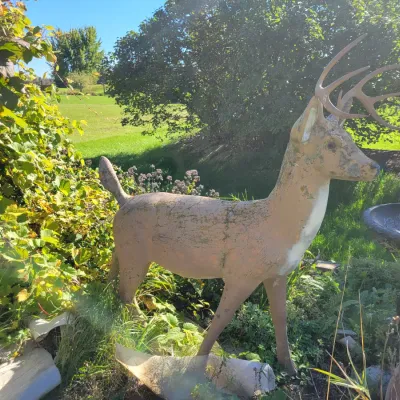 Sale Photo Thumbnail #243: Vintage concrete buck deer garden statue 