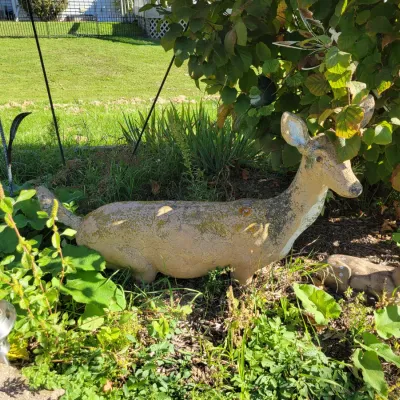 Sale Photo Thumbnail #244: Vintage concrete deer lawn ornament