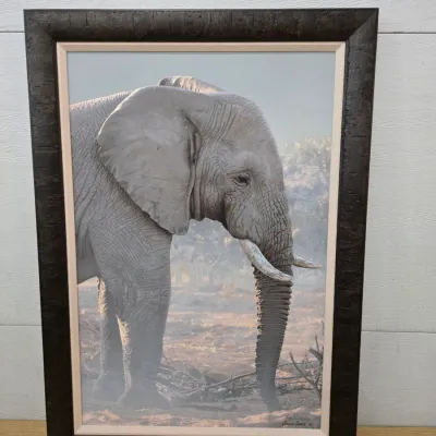 Sale Photo Thumbnail #27: Black And White Elephant By Joshua Spies
25x35