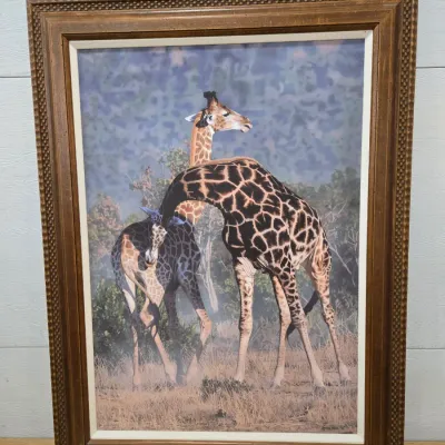Sale Photo Thumbnail #17: Attitude Adjustment By Joshua Spies
30x38