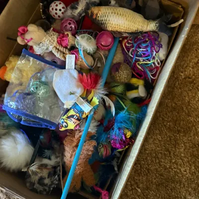 Sale Photo Thumbnail #31
