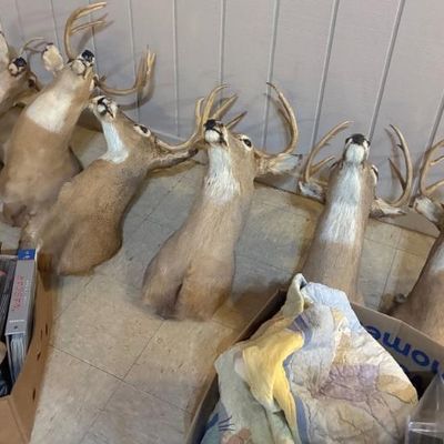 Sale Photo Thumbnail #58