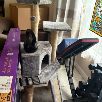 Multi-level grey carpeted cat tree with sisal scratching posts, alongside home gym equipment including an adjustable weight bench and...