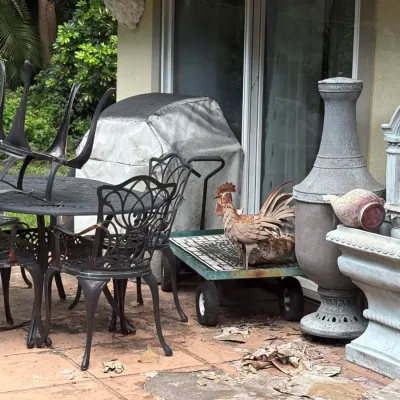 Assorted outdoor patio items including a black metal dining set, a concrete lion head wall fountain, a chiminea, and a decorative rooster...