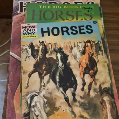 Sale Photo Thumbnail #347