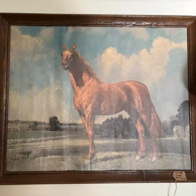 Sale Photo Thumbnail #303