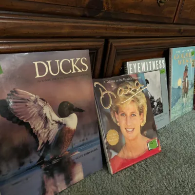 Sale Photo Thumbnail #275