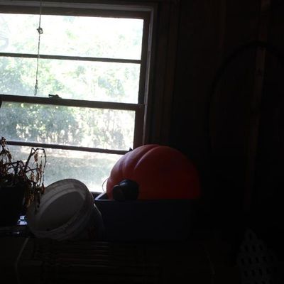 Sale Photo Thumbnail #180