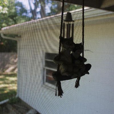 Sale Photo Thumbnail #139